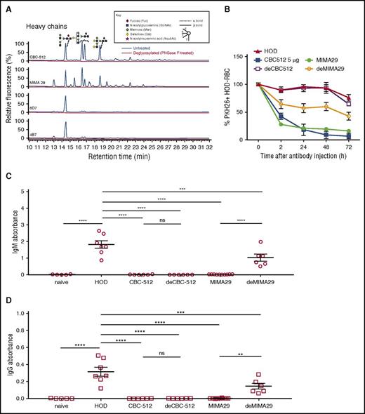 Figure 1. Analysis of wild-type and deglycosylated anti-RBC antibodies and their ability to induce RBC clearance and AMIS. Wild-type and deglycosylated antibodies were first evaluated for the efficiency of glycan removal. Glycans were released from IgG heavy chains by in-gel PNGase F digestion and then labeled with 2-aminoanthranilic acid and analyzed by UPLC. The symbols used for different glycan structures is based on Harvey et al.22 (A) Heavy chains of all samples had detectable glycan structures in the wild-type form of the heavy chains (blue lines), but no detectable structures after deglycosylation (red lines). The loss of the heavy chain signal after the deglycosylation reaction with PNGase F indicates that the Fc glycan removal was successful. (B) The ability of anti-RBC antibodies (MIMA 29 and CBC-512) to induce RBC clearance was analyzed by determining the percentage of surviving PKH26+ HOD-RBCs in the circulation of mice. All mice except the naive treatment group received 108 PKH26-labeled HOD-RBCs IV by tail vein injection. After 24 hours, mice were injected with no antibody (HOD) or 5 μg of each antibody assessed: wild-type MIMA 29 (MIMA 29), deglycosylated MIMA 29 (deMIMA 29), wild-type CBC-512 (CBC-512), or deglycosylated CBC-512 (deCBC-512). The percentage of remaining PKH26+ HOD-RBCs in the circulation was evaluated before (0 hour) and 2, 24, 48, and 72 hours after antibody injection. Mice were bled for serum 7 days after PKH26+ HOD-RBC transfusion and HEL-specific IgM (C) and IgG (D) antibody levels were evaluated by enzyme-linked immunosorbent assay. Data represent individual values from mice from ≥3 separate experiments. Data were expressed as mean ± standard error of the mean and analyzed by 1-way analysis of variance with Tukey’s multiple comparison test. ns, not significant. **P < .01; ***P < .001; ****P < .0001.