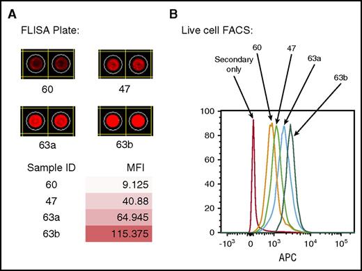 Figure 1. Comparison of antibody reactivities to plate-bound antigens detected by FLISA with antigens on live cells by FACS. (A) Antibody detection by FLISA in 4-patient samples against plate-bound membrane antigens from the AML cell line (Kasumi-1). (B) Antibody reactivities of the same patient samples against live cells (Kasumi-1) detected by FACS. APC, allophycocyanin; FACS, fluorescence-activated cell sorter; MFI, mean fluorescence intensity.