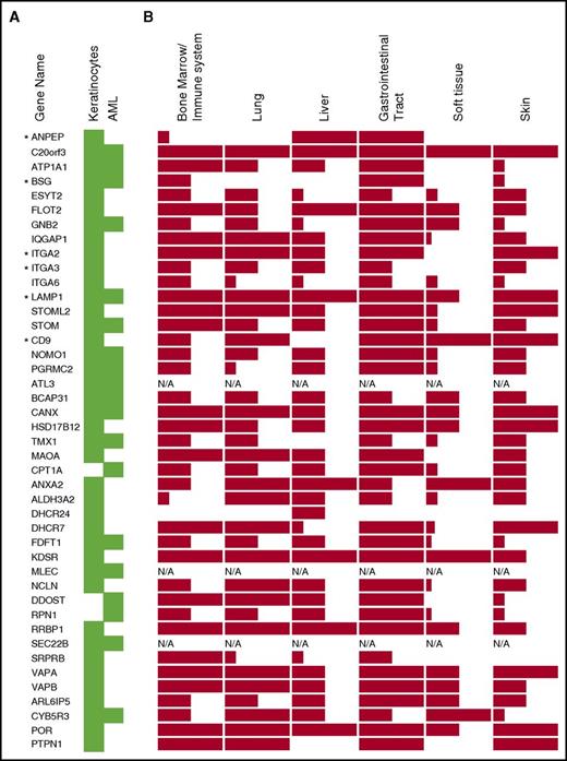 Figure 5. Tissue protein expression of identified targeted antigens. Proteins are listed by their gene name. (A) The antigen source from which they were identified is highlighted by the green color. (B) The level of protein expression in human tissues for each gene is indicated by the height of the bars as high, medium, or low, based on data from Human Protein Atlas (www.proteinatlas.org). *Antigens selected for confirmation study. N/A, data not available.