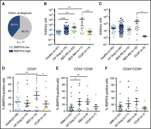Figure 1. TKI-resistant BM immature cells express higher levels of BMP1b receptors. (A) Frequency of BMPR1blo or BMPR1bhi patients in CML patients at diagnosis defined as previously described,17 and presented here in a pie chart. Comparative transcriptional expression of BMPR1b genes in BM cells from healthy donors, or CML patients in chronic phase at diagnosis (CP-Diag), resistant (RES) to TKI or in remission (CCyR) in MNC (B) or CD34+ selected cells (C). Cell membrane analysis of BMPR1b was performed by flow cytometry, and data represent the percentage of positive cells at cell surface in CD34+ (D) or CD34+CD38− (E) stem cells and CD34+CD38+ (F) progenitor compartment in BM samples obtained from healthy donors, or CML patients in chronic phase at diagnosis, resistant to TKI treatment or in remission. Results from individual samples analyzed are expressed in arbitrary units, and heavy horizontal lines represent mean values ± SEM of the indicated number of analyzed samples. NS, not significant (P > .05). *P ≤ .05; **P ≤ .01; ***P ≤ .001; ****P ≤ .0001.