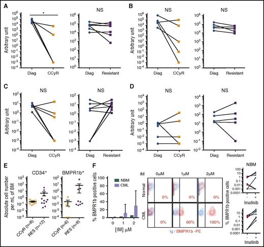 Figure 2. TKI treatment result in BMPR1b-positive CD34+ cell accumulation in resistant patients. Follow-up of transcriptional expression of BCR-ABL (A-B) and BMPR1b (C-D) genes in BM cells from CML patients at diagnosis and in remission or resistant under TKI in MNC (A-C) or CD34+ (B-D) selected cells. Results from individual samples analyzed are expressed in arbitrary units, and heavy horizontal lines represent the mean values ± SEM of the indicated number of analyzed samples. (E) Absolute number of cells of CD34 or BMPR1b positive cells per milliliter of BM in TKI-resistant patients and in CCyR patients presented as individual value per patient. The heavy horizontal lines represent the mean values ± SEM of the indicated number of analyzed samples. (F) Experimental protocol: CD34+ cells from newly diagnosed CP patients treated or not in serum-free media with IM at 1 or 2 µM. After 5 days of culture, cells were analyzed for BMPR1b expression by flow cytometry. Data are presented as a graph that represents the percentage of mean value of BMPR1b positive cells ± SEM of five independent samples (left panel), illustrated by one representative dot plot histogram and a representation of individual values for each sample treated or not with imatinib (mean of values obtained for cells treated with 1 or 2 μM of IM) (right panel). NBM, normal bone marrow. NS, not significant (P > .05). *P ≤ .05; **P ≤ .01; ***P ≤ .001; ****P ≤ .0001.