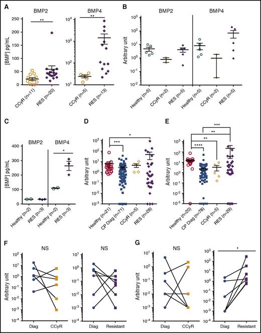 Figure 4. Higher-ligand expression in TKI-resistant BM microenvironment linked to leukemic and nonleukemic BMP2 and BMP4 production. (A) ELISA quantification of BMP2 and BMP4 in BM plasma obtained from CCyR patients and resistant patients. Results from individual samples are expressed in picograms per milliliter, and heavy horizontal lines represent mean values ± SEM of the indicated number of analyzed samples. (B-C) MSCs were isolated, as has been described17 from BM samples of healthy donor or CP-CML patients at remission or who were TKI resistant and analyzed after one passage in culture for their transcriptional expression (B) or de novo production (C) of soluble of BMP2 or BMP4 after 72 h of culture in serum-free media. Results from individual samples analyzed are expressed in arbitrary units, and heavy horizontal lines represent mean values ± SEM of the indicated number of analyzed samples. Transcriptional expression of BMP2 (D) or BMP4 (E) in CD34+ cells isolated from healthy BM or CP-CML samples of patients at diagnosis, in remission or from TKI-resistant patients. Results from individual samples analyzed are expressed in arbitrary units, and heavy horizontal lines represent mean values ± SEM of the indicated number of analyzed samples. Follow-up of transcriptional expression of BMP2 (F) and BMP4 (G) genes in BM cells from CML patients at diagnosis and when they achieved remission or were declared resistant to TKI treatment in CD34+ selected cells. Results from individual samples analyzed are expressed in arbitrary units, and heavy horizontal lines represent mean values ± SEM of the indicated number of analyzed samples. NS, not significant (P > .05). *P ≤ .05; **P ≤ .01; ***P ≤ .001; ****P ≤ .0001.