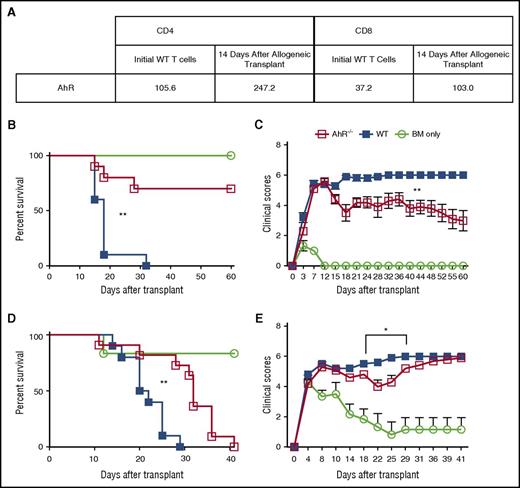 Figure 1. Absence of AhR leads to attenuated aGVHD. (A) Spleens from 5 B6D2 recipients were pooled sorted for CD4+ and CD8+ T cells 14 days after transplant, and mRNA sequencing was performed as described in the supplemental Methods. (B) 4.0 × 106 WT or AhR−/− T cells were transferred along with 3.0 × 106 T cell–depleted bone marrow (TCD BM) cells into lethally irradiated B6D2 recipients. Recipients were monitored for survival (B) and clinical score of GVHD (C). n = 10 for WT and AhR−/− groups; n = 3 for BM only. Representative data of 2 independent experiments. Clinical score data were found to be significant starting from day 18 after transplant. (D) 5.0 × 106 WT or AhR−/− T cells were transferred along with 3.0 × 106 TCD BM cells into lethally irradiated BALB.b recipients and monitored for survival (D) and clinical GVHD score (E). Pooled data from 2 independent experiments. n = 10 for WT, n = 11 for AhR−/−, and n = 6 for BM only. *P < .05; **P < .001 by log-rank (Mantel-Cox) test for survival curves and 2-way analysis of variance for clinical scores comparing WT and AhR−/−.