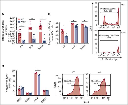 Figure 2. Reduced accumulation of AhR−/− T cells in SLT. Donor cells were stained with Cell Proliferation Dye eFluor450 prior to transplant. 4.0 × 106 WT or AhR−/− T cells were transplanted with 3.0 × 106 TCD BM cells into lethally irradiated B6D2 recipients. (A) Number of CD4+ donor T cells in SLT 4 days after transplant. (B) Frequency of proliferating cells CD4+ in SLT 4 days after transplant. Graphs represent pooled data from 2 independent experiments; n = 9 for each group. Flow cytometry plots show representative data of the ILN from 2 independent experiments. (C) Frequency of CD4+ cells expressing specific markers in the spleen 4 days after transplant; n = 4 in each group. Flow plots show representative histograms from the spleen. *P < .05; **P < .001 as indicated by Student t test.