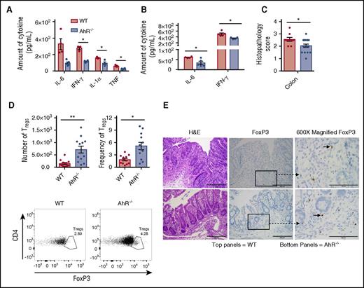 Figure 3. Reduced inflammatory cytokines and increased FoxP3+ Treg cells in the colons of AhR−/− T-cell recipients. Cytokine levels were determined using an enzyme-linked immunosorbent assay of colon homogenates 7 days after transplant (A) (n = 3-4 for WT; n = 4-5 for AhR−/−; representative experiment of 2 independent experiments) and 14 days after transplant (B) (n = 4-5 for WT; n = 4 for AhR−/−). Representative experiments of 2 independent experiments. (C) Colon histopathology score 20 days after transplant; n = 9 for WT, and n = 18 for AhR−/−. Pooled results from 2 independent experiments. (D) Colons were isolated and digested as described in “Materials and methods.” Lymphocytes from the colon underwent intranuclear FoxP3-staining as described in “Materials and methods” prior to analysis. N = 12 for each group; pooled results from 3 independent experiments. (E) Representative images of immunohistochemistry staining done on colon samples used for colon GVHD score evaluation. *P < .05; **P < .001 as indicated by Student t test. H&E, hematoxylin and eosin.