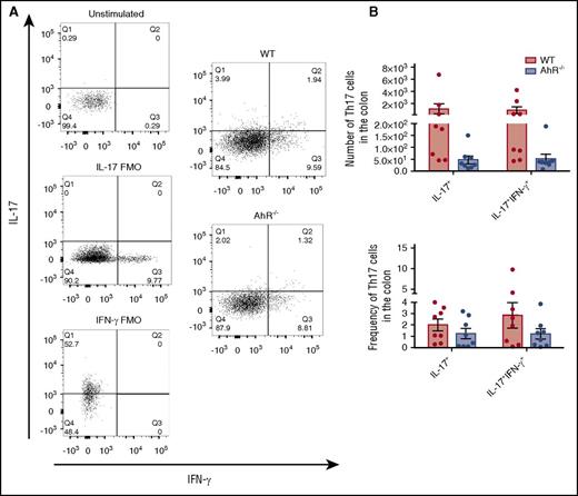 Figure 4. Assessment of Th17 cells in the colons of AhR−/− T-cell recipients 14 days after transplant. (A) Schema for the analysis of T cells isolated from the colon and a representative histogram characterizing donor B6 or AhR T cells from the colon of B6D2 recipient mice 14 days posttransplant. (B) Total number of donor T cells from WT or AhR mice and the frequency of donor T cells on day 14 posttransplant. N = 8 recipient B6D2 mice per group receiving either WT or AhR−/− T cells with WT TCD BM. Data were pooled from 2 separate experiments. FMO, fluorescence minus one controls.
