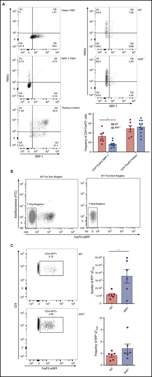 Figure 5. Recipients of AhR−/− T cells have increased numbers of pTreg cells in the colon. (A) Colons were isolated 14 days after transplant. Cells were gated on donor CD4+FoxP3+ T cells. These cells were analyzed for Neuropilin-1 (NRP-1) and Helios expression. Graph depicts pooled results from 2 independent experiments; n = 6 for WT, and n = 10 for AhR−/− for each group. (B) Representative flow cytometry histograms of T-cell sorting for mRFP-negative cells. (C) 14 days after transplant, colons were isolated from recipients of either WT-FIR or AhR−/−-FIR T cells and analyzed for mRFP expression. Flow cytometry panels are representative images of 3 independent experiments. Graphs represent pooled data of 3 individual experiments; n = 6 in each group. *P < .05 by Student t test. FITC, fluorescein isothiocyanate.