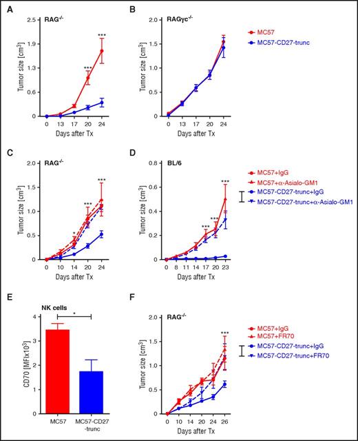 Figure 2. CD70 reverse signaling in NK cells improves tumor control. (A-F) MC57 and MC57-CD27-trunc tumor fragments were transplanted SC into the flanks of RAG−/− (A,C,F), RAGγc−/− (B), and BL/6 (D) mice. Mice were treated with anti–Asialo-GM1 or control-IgG (C-D) or with FR70 or control IgG (F) at days −1, 0, and every second day after tumor transplantation. Tumor size was measured at the time points indicated. Data are shown as mean ± SEM of 5 to 10 mice in each group; representative of 3 independent experiments. (E) CD70 expression on tumor infiltrating NK cells from 3 tumor-bearing mice in each group at day 20 after transplantation. Histogram shows MFI of CD70 measured by FACS, representative of 3 independent experiments. Statistics: 2-way ANOVA (A-D,F), Student t test (E).