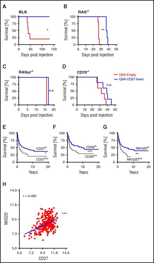 Figure 6. CD27 expression on lymphoma cells prolongs survival. (A-D) Kaplan-Meier survival curves of BL/6 (A), RAG−/− (B), RAGγc−/− (C), and CD70−/− (D) mice, injected IV with Q2A-CD27-trunc or Q2A-empty lymphoma cells. (E-G) Kaplan-Meier survival curve of 303 patients with Burkitt lymphoma and DLBCL in correlation with the expression of CD27 (CD27hi n = 268, CD27low n = 35) (E), CD56 (CD56hi n = 201, CD56low n = 102) (F), and NKG2D (NKG2Dhi n = 272, NKG2Dlow = 31) (G). (H) Correlation analysis of expression of NK cell marker NKG2D and CD27 in lymphoma patients. Data are shown as mean ± SEM of 4 to 5 animals in each group (A-D) and representative of 2 experiments. Statistics: log-rank analysis (A-G). Spearman correlation test (H).