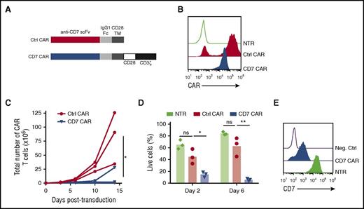 Figure 1. T cells expressing CD7 CARs fail to expand. (A) Schematic diagram of control (ΔCAR) and full-length CD7 CAR constructs used in the study. (B) Surface expression of the CD7 CAR constructs on retrovirally transduced T cells measured by flow cytometry using anti-human IgG Fc antibodies on day 6 posttransduction. (C) Expansion of T cells transduced with truncated (ΔCAR) of full-length CD7 CAR in vitro for 14 days. (D) Viability of CD7 CAR T cells at days 2 and 6 posttransduction measured by flow cytometry. (E) Expression of CD7 in nontransduced or CD7 CAR-transduced activated T cells. A CD7-negative cell line Raji was used as a negative control. Data represent 2 to 5 independent experiments with n = 3 donors in each. Ctrl, control; Neg., negative; ns, not significant; NTR, nontransduced. *P < .05; **P < .001.