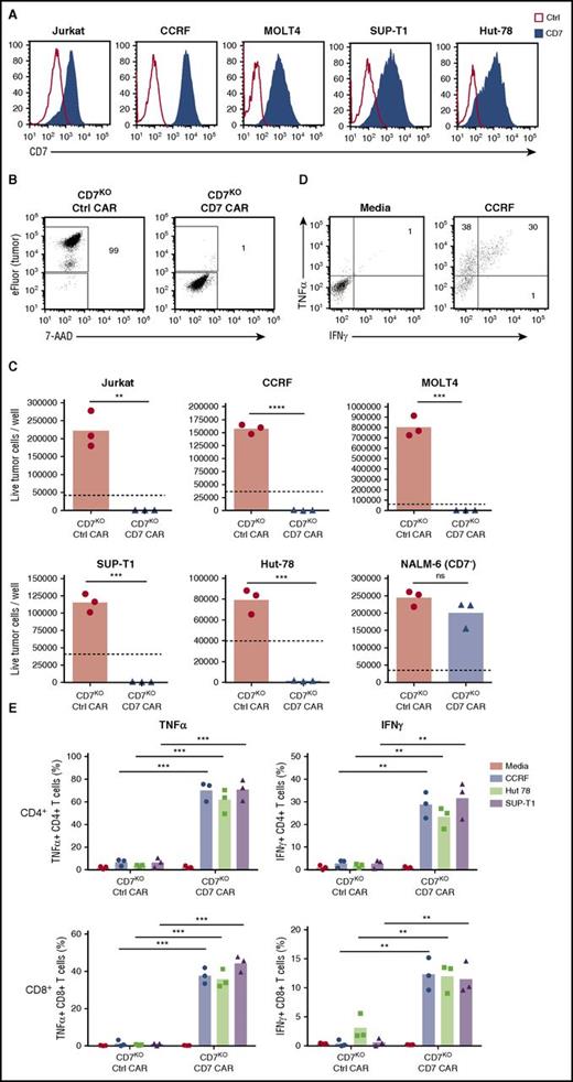 Figure 4. Expanded CD7KO CD7 CAR T cells eradicate T-ALL and T lymphoma cell lines. (A) Surface expression of CD7 (solid histograms) in T-ALL and T-lymphoma cell lines measured by flow cytometry in comparison with isotype control (open histograms). (B) Tumor cell lines were labeled with eFluor670 and cocultured with CD7KO CD7 CAR T cells at the effector-to-target ratio 1:4 for 3 days. Dot plots show frequency of gated live tumor cells (CCRF) at the end of coculture. (C) Absolute counts of live tumor cells were measured by flow cytometry using counting beads at the end of coculture with CD7KO CD7 CAR T cells. CD7− cell line NALM6 was used as a negative control. Dashed lines represent the initial number of tumor cells on plating. (D) Representative dot plots showing intracellular cytokine staining for TNFα and IFNγ in CD7KO CD7 CAR T cells upon coculture with CCRF cells or media alone. (G) Mean frequencies of cytokine-positive CD4+ (top) and CD8+ (bottom) CD7KO CD7 CAR T cells on coculture with indicated CD7+ cell lines or media alone. Data represent 2 independent experiments with n = 3 donors in each. **P < .01; ***P < .001; ****P < .0001.