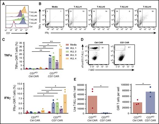 Figure 5. Antitumor activity of CD7KO CD7 CAR T cells against primary T-ALL blasts. (A) Surface expression of CD7 in peripheral blasts in 4 T-ALL patient samples. (B) Representative dot plots showing production of TNFα and IFNγ by CD7 CAR T cells on coculture with allogeneic primary T-ALL blasts. (C) Mean frequencies of cytokine-positive CD7KO CD7 CAR T cells on coculture with individual T-ALL samples. (D) Peripheral blasts were freshly isolated from a T-ALL patient by leukapheresis, labeled with eFluor670 and cocultured with control or CD7KO CD7 CAR T cells for 48 hours. Dot plots show the frequency of live tumor cells at the end of coculture. (E) Absolute counts of live tumor cells and CD7KO CD7 CAR T cells quantified by flow cytometry at the end of coculture. Data represent 1 to 2 independent with n = 3 donors in each. *P < .05; **P < .01.