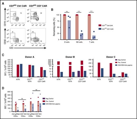 Figure 6. CD7KO CD7 CAR T cells are cytotoxic against normal T cells and NK cells but can themselves respond to viral antigens. (A) Control or full-length CD7KO CD7 CAR T cells were cocultured with eFluor670-labeled autologous PBMC for 24 hours, and the frequency of T and NK cells was measured by flow cytometry. Dot plots show the frequency of gated CD19+ B cells (top) and CD56+CD3− NK cells and CD3+ T cells (bottom) at the end of coculture. (B) Total numbers of autologous B cells, NK cells, and T cells at the end of coculture with autologous CD7KO CD7 CAR T cells was quantified by flow cytometry using counting beads. Data represent 2 independent experiments with n = 3 donors in each. (C) Nontransduced, CD7KO and CD7KO CD7 CAR T cells were stimulated with pepmixes from cytomegalovirus, Epstein-Barr virus, and adenovirus, and the number of IFNγ+ spot-forming cells was measured by ELISPOT. Individual data from 3 donors are shown as a means of triplicate determinations. (D) CD4+ and CD8+ T cells were MACS-purified and separately assayed for IFNγ production in response to pepmixes. AdV, adenovirus; CMV, cytomegalovirus; EBV, Epstein-Barr virus; Neg., negative; Pos., positive; SFC, spot-forming cells. ***P < .001.