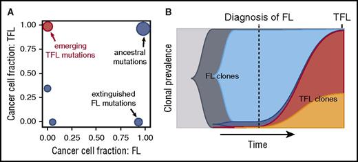 Figure 1. Temporal analysis of clonal evolution in typical FL and matched TFL samples. (A) Shown are cancer cell fractions of mutation clusters, plotted against time point (FL, TFL). The FL time point is shown on the x-axis, and the TFL time point on the y-axis. The emerging TFL-associated mutations can either not be detected, or are present at very low abundance in the preceding FL (<1%). (B) Time-sweep plot showing evolution over time of FL clones (in blue colors) and the emergence of TFL clones (in red and orange). Time is shown on the x-axis, clonal abundance on the y-axis. The transformed genotype is typically not readily detected in the initial FL biopsy, although it can be present in other anatomical sites, based on the data by Scherer et al.58 Adapted from Kridel et al24 in accordance with the Creative Commons Attribution (CC BY) license.