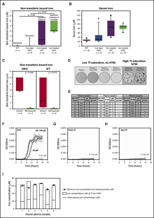 Figure 7. Bacterial growth depends on NTBI. (A-E) Y enterocolitica and (F-I) V vulnificus. (A) NTBI and (B) serum iron measurements in WT, iron-depleted HKO, iron-loaded WT, and iron-loaded HKO mice. Presence of NTBI correlates with the severity of Y enterocolitica infection. (C) Minihepcidin treatment abolished NTBI in serum of iron-loaded WT and HKO mice. (D) Microscopy images (magnification ×4) of bacterial growth 24 hours after plating Y enterocolitica O9 (106 CFU/mL) on agar plates made of human plasma supplemented with 0 to 60 μM FAC. Bacterial growth was observed only in the samples with measurable NTBI (dark gray section). (E) Transferrin (Tf) saturation (sat), NTBI concentration, and bacterial growth on agar plates made from plasma of 3 different donors. Statistical analysis (A,C): Mann-Whitney U test. (F-I) V vulnificus (1 × 103 CFU/mL) were grown in vitro in human plasma supplemented with (F) 0 to 100 μM FAC, (G) 0 to 100 μM holo-Tf, or (H) 0 to 100 μM apo-Tf. V vulnificus growth was initiated only when 40 to 100 μM FAC was added to the plasma at which point transferrin saturation reached 100%. Bacteria did not grow in plasma supplemented with holo-Tf or apo-Tf. Each line represents mean (n = 3) ± standard deviation. (I) V vulnificus growth was measured in 6 different human plasma samples supplemented with a range of FAC. Black circle indicates the iron concentration at which V vulnificus growth was initiated. White bar shows plasma iron concentration at which transferrin saturation reached 100% for each sample. Dashed line indicates baseline plasma iron concentration for each human sample. V vulnificus growth in vitro in human plasma occurred only when transferrin was nearly completely saturated. OD, optical density.
