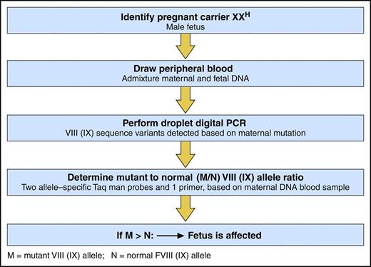 ddPCR to detect a fetus with hemophilia. Professional illustration by Patrick Lane, ScEYEnce Studios.