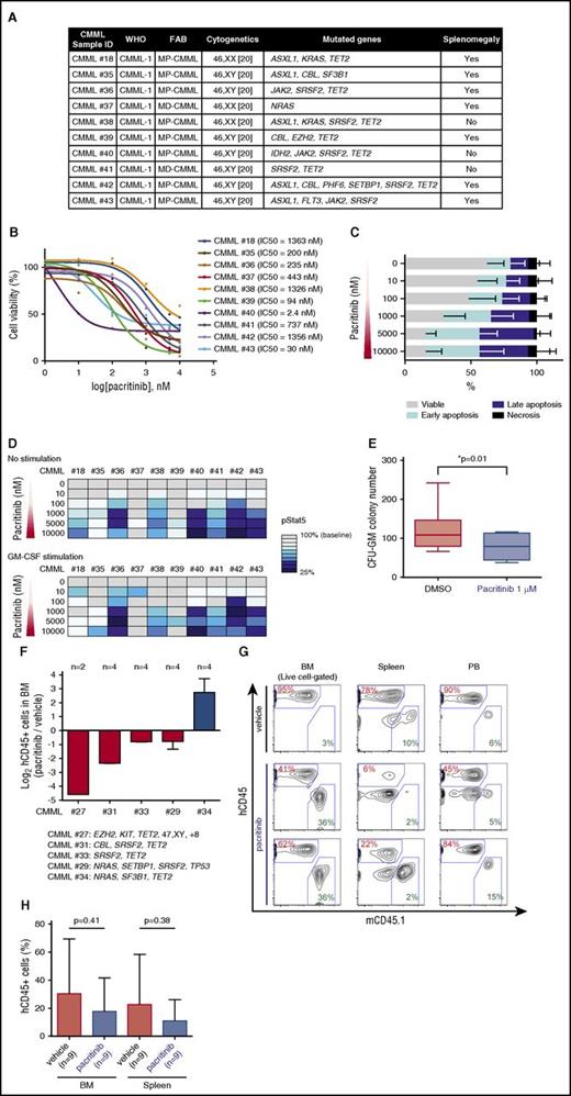 Figure 4. Evaluation of the efficacy of pacritinib in CMML patient samples in vitro and in vivo. (A) Clinical and genetic characteristics of CMML patient samples used for pacritinib treatment in vitro and in vivo. (B) BM samples from CMML patients were cultured with pacritinib for 48 hours, and the half maximal inhibitory concentration was calculated for each patient sample based on the cell viability after drug exposure (n = 10). (C) Percentages of viable, early-apoptotic, late-apoptotic, and necrotic cells based on 4′,6-diamidino-2-phenylindole and Annexin V flow cytometric analysis of CMML BM MNCs treated with vehicle or pacritinib at the indicated doses in vitro (shown are mean percentages ± standard deviation across 10 patient samples). (D) Heatmap representation of phospho-STAT5 levels in CMML BM MNCs by intracellular flow cytometry after treatment with pacritinib at the indicated doses for 1 hour (top; median data across 10 patients is shown). Cells were also prestimulated with GM-CSF at 10 ng/mL for 15 minutes after incubation with pacritinib (bottom; n = 10). Levels of phospho-STAT5 in cells treated with pacritinib were evaluated considering the level of phospho-STAT5 in cells treated with dimethyl sulfoxide (DMSO) as 100% in each patient sample. (E) Colony numbers after 14 days of CMML BM MNCs seeded in methylcellulose with 1 μM pacritinib or dimethyl sulfoxide (CFU-GM, colony forming unit-granulocyte macrophage; median value is shown represented by the line inside the box ± standard deviation represented by lines above and below the box; n = 7 patient samples; *P < .05). (F) Log2 ratio of human CD45 (hCD45)+ cells in the BM of pacritinib- vs vehicle-treated PDX models from 5 CMML patients (n = 2 or 4 mice per patient). Genetic information for each patient is shown in supplemental Figure 3B. (G) Representative flow cytometric analysis of hCD45 in NSGS recipients xenografted with CMML BM MNCs following 7 days of oral administration of vehicle or 150 mg/kg/d pacritinib (mCD45.1: mouse CD45.1). (H) Comparison of hCD45 chimerism in the BM and spleen NSGS-recipient mice treated with either vehicle or pacritinib (mean value ± standard deviation and number of individual mice are represented in the figure).