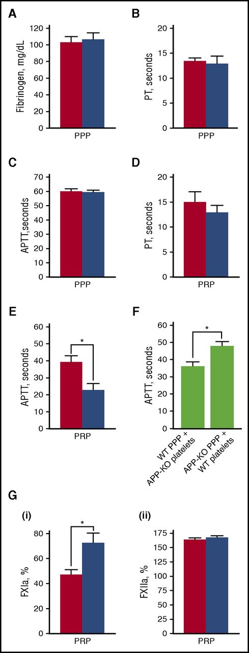 Figure 5. Blood clotting assays. In all panels, red bars refer to WT mice, and blue bars to APP-KO mice. Data are expressed as mean ± SEM of 10 different determinations. Quantification of the level of plasma fibrinogen in the 2 genotypes is reported in (A). PT (B,D) and APTT (C,E) was measured in PPP (B-C) and PRP (D-E). *P < .05. (F) Measurement of APTT in reconstituted samples obtained by mixing PPP from 1 genotype with washed platelets from the other genotype, as indicated. *P < .05. (G) Quantification of the activity of FXIa (i) and FXIIa (ii) in PRP from WT and APP-KO mice. *P < .05.