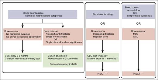 Figure 1. Surveillance for predisposition to MDS/AML. A general approach to surveillance is outlined. A discussion of low-risk clones is provided in the text. HSCT, hematopoietic stem cell transplant. *Excludes baseline dysplasia typically associated with specific disorders. **See text for additional discussion. ***For some disorders, chemotherapy may be considered to treat leukemia.