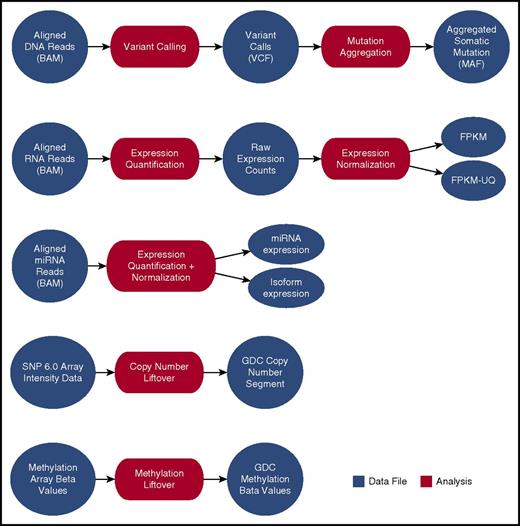 Figure 2. Current GDC bioinformatics pipelines. High-level processes indicating the GDC analysis and resulting data products created from GDC hg38-aligned data, submitted SNP 6.0 array data, or submitted methylation array data. BAM, binary alignment map; FPKM, fragments per kilobase of transcript per million mapped reads; FPKM-UQ, FPKM-upper quartile; MAF, mutation annotation format; miRNA, microRNA; VCF, variant calling format.