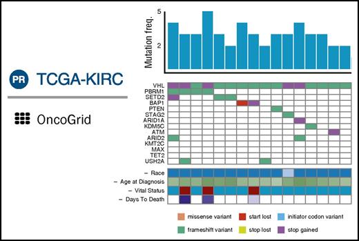 Figure 4. Composite of principal features of GDC OncoGrid. Each column represents a single case; the histogram indicates total number of somatic variants in the case. Rows are genes; colored cells indicate types of variants (colored according to the legend) present in these genes for the given case’s tumor sample. Clinical data for each case are presented in analogous fashion. freq., frequency; TCGA-KIRC, Cancer Genome Atlas Kidney Renal Clear Cell Carcinoma.
