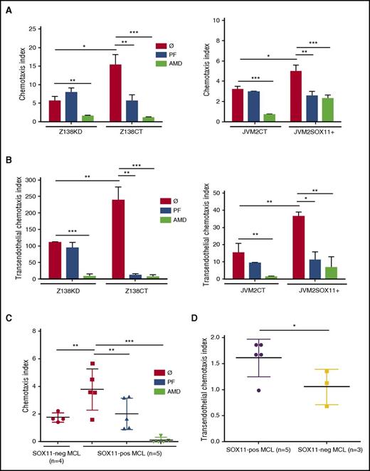 Figure 2. SOX11 promotes in vitro CXCL12-mediated chemotaxis through CXCR4/FAK signaling activation in MCL. (A-B) 5 × 105 SOX11+ MCL cells in in vitro models (Z138CT and JVM2SOX11+) and their SOX11− counterparts (Z138KD and JVM2CT MCL cell lines, respectively) untreated (Ø) or pretreated for 6 hours with 10 µM of specific FAK inhibitor (PF) or for 1 hour with 40 µM of the CXCR4 antagonist (AMD) were seeded in the upper chamber of FN-coated transwells (A) or transwells coated with HUVEC cells (B). After overnight incubation, Z138CT- and Z138KD-migrated (left) and JVM2SOX11+ and JVM2CT-migrated (right) cells toward recombinant CXCL12 at the bottom chamber of the transwells were quantified by FC. (C) Same CXCL12-mediated chemotaxis assays as in panel A were performed using MCL cells derived from PB (>95% purified) of human primary MCL (5 SOX11+ and 4 SOX11− MCL primary cells). (D) 5 × 105 MCL cells from MCL primary tumors (5 SOX11+ and 3 SOX11− MCL cases) were seeded on the upper chamber of transwells coated with HUVEC cells. After overnight incubation, migrated cells toward recombinant CXCL12 at the bottom chamber of the transwell were quantified by FC. Migration index was calculated as number of MCL cells that migrated in the presence of the chemoattractant (CXCL12-dependent migration) divided by the number of migrated cells in the absence of the chemokine (unspecific migration). Bar plot represents the mean percentage ± standard deviation of 3 independent experiments. The significance of difference was determined by independent samples Student t test: *P < .05, **P < .01, ***P < .001.