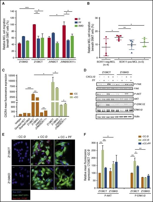Figure 3. SOX11 expression promotes pseudoemperipolesis through CXCR4 and FAK pathway activation in MCL. First we analyzed SOX11-dependent MCL cell migration beneath SNKT cells (pseudoemperipolesis). (A) SOX11+ and SOX11− in vitro MCL cell line models untreated (Ø) or treated with PF or AMD were added to SNKT-GFP+ layers or (B) SOX11+ MCL cells derived from PB (>95% purified) of primary MCLs (n = 5) untreated (Ø) or pretreated with PF or AMD and untreated cells derived from SOX11− (n = 4) MCL primary samples were cocultured with SNKT-GFP+ cells. After overnight incubations, cocultures described in panels A and B were washed several times, and MCL cells that had migrated toward the stromal layer were trypsinized and counted by FC; MCL cells were distinguished by GFP− gating and cell size. Results in panel A are shown as relative to the corresponding untreated SOX11+ MCL cell line (Z138CTØ and JVM2SOX11Ø, respectively). (C) Bar graph representing the mean fluorescence of FC experiments showing the expression levels of cellular surface CXCR4 protein levels in Granta519 and Z138CT vs their KD MCL cell lines counterparts, and JVM2SOX11+ vs JVM2CT MCL cell lines growing alone (−CC) or in coculture with the human BM stromal-cell line (SNKT; +CC). Granta519 was used as a CXCR4− control cell line. Isotype immunoglobulin G control antibody was used as a negative CXCR4 control staining. (D) Western blot experiments showing expression levels of basal forms of FAK, AKT, and ERK1/2 proteins and p-FAK, p-AKT, and p-ERK in Z138CT and Z138KD pretreated with PBS (−) or with PF (+) and cultured 30 minutes in RPMI plus 10% fetal bovine serum with PBS (−) or with CXCL12 (+). Actin was used as a loading control. (E) FAK Tyr397 phosphorylation was determined by confocal microscopy. Z138CT and Z138KD cells untreated (Ø) or pretreated with PF (+PF) were seeded over covered glasses growing alone (−CC) or in coculture with SNKT-GFP+ layers (green cells; +CC). After overnight incubation, nonadhered cells were removed by several washes. Adhered cells above covered glasses were fixed, permeabilized, and labeled with a specific rabbit anti-Tyr397 p-FAK primary antibody and with PE secondary antibody (red signals). 4′,6-diamidino-2-phenylindole (DAPI) was used to determine cellular nuclei (blue cell nuclei). Bar, 10 µm. (F) Bar graph representing the mean fluorescence of FC experiments showing expression levels of p-AKT and p-ERK1/2 proteins in Z138CT and Z138KD cultured overnight alone (−CC) or in cocultures with SNKT-GFP+ cells (+CC) and pretreated with PBS (Ø) or with the FAK inhibitor (+PF). Results are shown as mean fluorescence expression relative to Z138CT cultured overnight alone and pretreated with PBS (Z138CT −CC Ø). Bar plot represents the mean percentage ± standard deviation of 3 independent experiments. The significance of difference was determined by independent samples Student t test: *P < .05, **P < .01, ***P < .001.