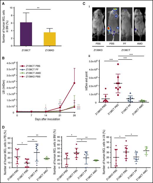 Figure 6. SOX11 expression promotes in vivo cell migration and specific BM and LN infiltration and engraftment through the activation of CXCR4 and FAK pathways in intravenous MCL xenograft models. Some 10 × 106 SOX11+ and SOX11− Z138 MCL cell lines stably transfected to express a luciferase enzyme (Z138CTLuci and Z138KDLuci, respectively) were iv inoculated into SCID mice generating Z138CT and Z138KD mice, respectively. (A) In vivo MCL cell migration toward BM in Z138CT (n = 8) and Z138KD (n = 8) mice 24 hours PI was analyzed using a specific human anti-CD19–PE antibody to determine number of MCL cells in BM by FC. (B) Z138CT mice were randomly assigned and treated every day with 30 mg/kg PF (n = 8) or 10 mg/kg AMD (n = 6) for 28 days and compared with Z138CT and Z138KD control PBS-treated mice (n = 8 each). Graph showing tumor engraftment by quantification of the LBI signals (IntDen) at the indicated days PI. (C) Representative pictures showing MCL engraftment in nodal and extranodal sites 28 days PI by LBI signals of Z138CT mice intraperitoneally (ip) injected with vehicle PBS, PF, or AMD and Z138KD mice injected with vehicle PBS (i). Quantification of the LBI signals (IntDen) in individual Z138CT animals ip injected with vehicle PBS, PF, or AMD and Z138KD mice injected with vehicle PBS at day 28 PI (ii). (D) Graph displaying the number of recovered MCL cells (%) normalized to the total number of cells in PB, BM, and LNs, labeled with a specific human anti-CD19–PE antibody and analyzed by FC. The significance of difference was determined by independent samples Student t test: *P < .05, **P < .01, ***P < .001.