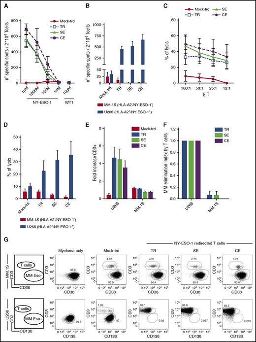 Figure 3. NY-ESO-1–redirected T cells efficiently kill MM cells. Shown are results from TCR TR, SE, CE, and untransduced lymphocytes (mock-trd) cells tested by IFN-γ Elispot assay against T2 cells pulsed with decreasing concentrations of the NY-ESO-1157-165 HLA-A2 restricted peptide or the irrelevant WT1126-134 HLA-A2 restricted peptide as negative control (A) or against U266 (HLA-A2pos and NY-ESO-1pos) and MM.1S (HLA-A2neg and NY-ESO-1neg; negative control) MM cell lines (B). Specific spots are shown on the y-axis as spots produced in the presence of stimulators minus the spots produced by the effectors alone. Mean and SEM are shown, at the E/T ratio of 1. (C-D) Cytotoxic assay with TCR edited, TR, and untransduced T cells. (C) Shown is the functional activity measured by a 51Cr release assay for the lysis of labeled T2 cells pulsed with a concentration of the NY-ESO-1157-165 HLA-A2 restricted peptide of 1 µM, at decreasing E/T ratios or against U266 and MM.1S (negative control) MM cell lines (D) at the E/T ratio of 50:1. Mean and SEM of the percentages of lysis are shown. (E-G) Four-day coculture assay. TCR TR, SE, CE, and untransduced lymphocytes were cultured with U266 or MM.1S (E/T ratio = 1:5). After 4 days, residual U266 cells (CD138pos/CD3neg), MM.1S cells (CD38pos/CD3neg), and T lymphocytes (CD138neg/CD38neg/CD3pos) were counted and analyzed by FACS. (E) Expansion of NY-ESO-1–redirected T cells and control untransduced T cells (mock-trd) in response to NY-ESO-1–expressing (U266) or nonexpressing (MM.1S) cells measured as fold increase at the end of culture. (F) Antimyeloma effect by T cells measured as elimination index (see “Methods”). Mean and SEM are shown. (G) Representative plots of T-cell coculture with MM.1S (upper panel) and U266 (lower panel) at the E/T ratio of 1:5. All functional studies have been performed with 3 distinct donors. TR and SE cells were sorted for high expression of the NY-ESO-1157-165 dextramer before functional assays. All effectors were tested after 1 cycle of cell stimulation through a rapid expansion protocol.24
