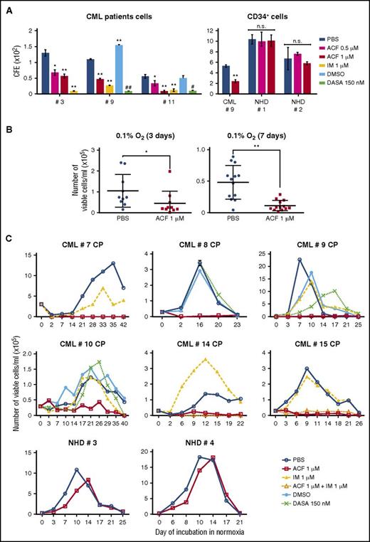 Figure 4. ACF impaired stem cell potential and reduced colony formation ability of primary CML cells, but not normal cells. (A) Total (left) or CD34+ (right) light-density BMMCs from CML patients or CD34+ light-density PBMCs from NHDs (right) were plated in methylcellulose-containing medium and treated as indicated from time 0 of incubation (PBS, vehicle for ACF or IM; DMSO, vehicle for DASA). Colony number was scored after 7 days. Values represent mean ± S.D. of data obtained from experiments performed in duplicate; vs PBS: *P ≤ .05, **P ≤ .01; vs DMSO: #P ≤ .05, ##P ≤ .01. (B-C) Light-density BMMCs from CML patients or light-density PBMCs from NHDs were treated as indicated (PBS, vehicle for ACF or IM; DMSO, vehicle for DASA) and incubated at 0.1% O2 (LC1). (B) Viable cells from CML patients were counted at day 3 (n = 10) or day 7 (n = 12) of incubation at 0.1%O2 (LC1). Values represent mean ± S.D.; *P ≤ .05, **P ≤ .01. (C) Cells were transferred from day 7 LC1 to drug-free normoxic LC2 to determine the maintenance of stem cell potential in LC1 via the counting of viable cells at the indicated times of incubation in LC2. Values represent results from single experiments or mean ± S.D. of data obtained in triplicate (CML #8).