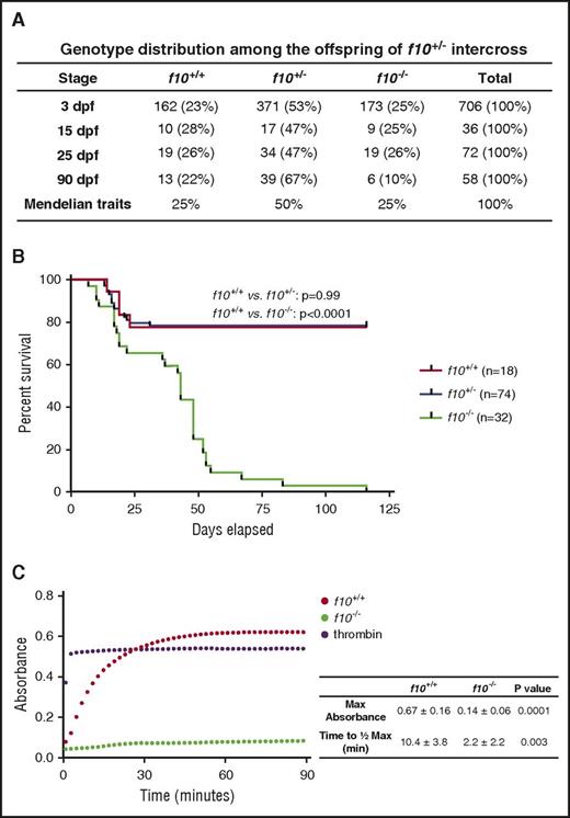 Figure 3. Complete loss of F10 results in progressive adult lethality. (A) Genotype distributions of offspring from separate f10+/− incrosses evaluated at various stages demonstrate loss of homozygous mutants after 25 dpf. (B) Survival curves of closely monitored clutches of zebrafish offspring from f10+/− incrosses demonstrate progressive loss of 75% of homozygotes by 50 dpf and 100% by 115 dpf. There was no significant loss of heterozygotes (P > .05 by log-rank testing). Larvae were genotyped at 3 dpf and selected individuals were observed daily. There was ∼20% background loss of individual fish across all genotypes up to 20 dpf, which is typical during wild-type fish development. (C) Citrated plasmas from 1-month-old fish were recalcified and incubated with human fibrinogen for 90 minutes and absorbance (405 nm) was measured every 2 minutes. Data shown are the average of 2 experiments (n = 5 total pairs of fish for each genotype). The average time to half-maximal absorbance and maximum absorbance were calculated for each genotype and data were analyzed by using the Student t test. Bovine thrombin was used as a positive control. Max, maximum; min, minutes.