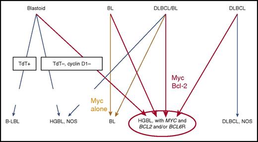 Figure 1. New WHO classification of lymphoma. Regardless of morphology, if myc and bcl-2 rearrangements are present, they are now categorized as high-grade B-cell lymphoma with myc and bcl-2 and/or bcl-6 rearrangements. HGBL, high-grade B-cell lymphoma; NOS, not otherwise specified. Adapted from Swerdlow et al.21