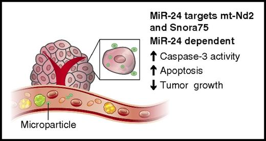 Platelet microparticles transfer their cargo to tumor cells. Platelet microparticles accumulate outside the vasculature in the tumor environment. Microparticles are found at the surface of tumor cells and are internalized with their cargo, rich in microRNAs, including miR-24. The transfer of miR-24 mediates mitochondrial depolarization and apoptosis and reduces tumor growth.