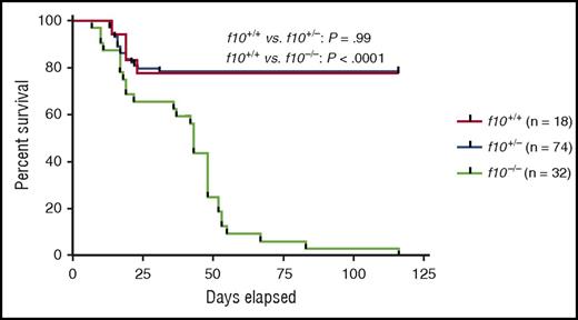 Survival curves of closely monitored clutches of zebrafish offspring from f10+/− incrosses demonstrate progressive loss of 75% of homozygotes by 50 dpf and 100% by 115 dpf. There was no significant loss of heterozygotes (P > .05 by log-rank testing). Larvae were genotyped at 3 dpf, and selected individuals were observed daily. There was ∼20% background loss of individual fish across all genotypes up to 20 dpf, which is typical during wild-type fish development. See Figure 3B in the article by Hu et al that begins on page 666.