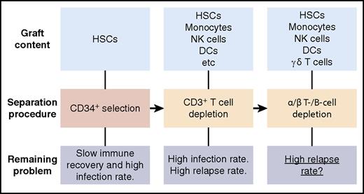 Development of hematopoietic stem cell (HSC) graft manipulation by enrichment or depletion strategies. DCs, dendritic cells; NK, natural killer.