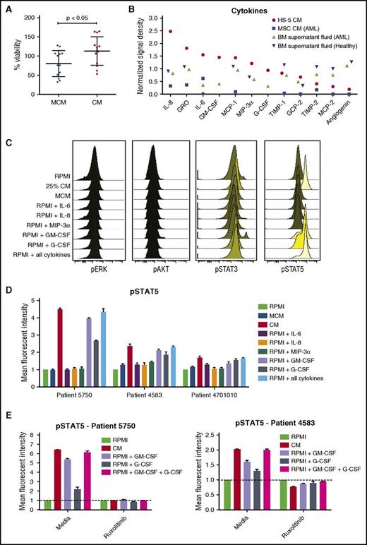 Figure 1. HS-5 CM is enriched in inflammatory cytokines that promote the proliferation and survival of primary leukemic AML cells. (A) Freshly isolated AML cells were cultured in MCM or 25% HS-5 CM for 3 days, and cell viability assessed with the CTG assay. AML cells had a mean viability of 113% after 3 days in CM compared with 80% in MCM (113.0 ± 10.4 in CM and 80.2 ± 9.4 in MCM; n = 13; P < .05). Graphs show mean ± SEM. (B) Cytokine levels measured from HS-5 CM, primary MSCs CM from a patient with AML and BM supernatant fluid from a patient with AML and a healthy donor. (C) Phosphoflow analysis of phospho-ERK, phospho-AKT, phospho-STAT3, and phospho-STAT5 in AML patient cells treated with RPMI, 25% HS-5 CM, MCM, or RPMI supplemented with 10 ng/mL of IL-6, IL-8, MIP-3α, GM-CSF, G-CSF, or a combination of all the cytokines for 20 minutes, showing stimulation of STAT5 phosphorylation. (D) Detection of STAT5 phosphorylation in AML cells from 3 patients after 20 minutes of stimulation with different media conditions or individual cytokines (10 ng/mL). (E) Detection of phospho-STAT5 in AML patient cells treated for 1 hour with or without ruxolitinib (300 nM) after 20 minutes of stimulation with 25% CM or RPMI supplemented with 10 ng/mL GM-CSF, G-CSF, or a combination of the 2 cytokines. Error bars represent standard deviation of duplicates.