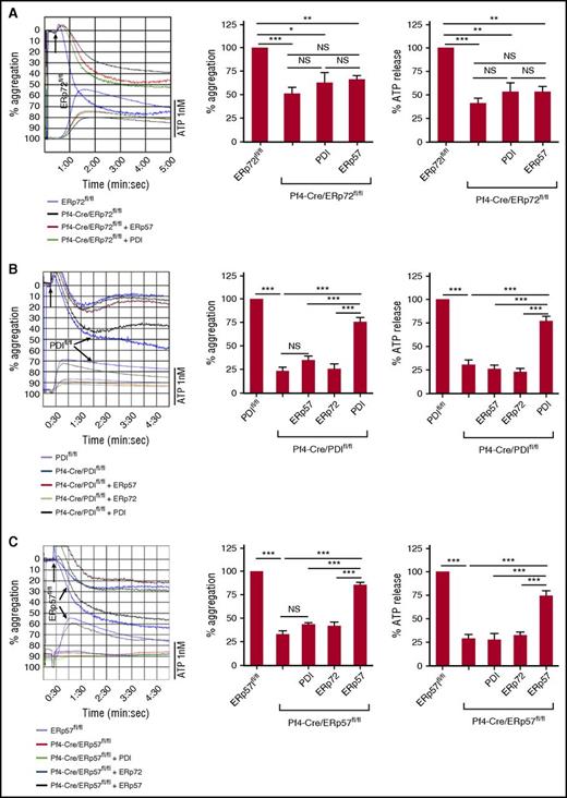 Figure 4. Preferential recovery of aggregation of ERp72-, PDI-, and ERp57-null platelets by the specific PDI that is deleted. (A) ERp72-null platelets were incubated with 150 nM PDI or ERp57 (as in Figure 3D). (B) PDI-null platelets were incubated with 100 nM ERp57, ERp72, or PDI. (C) ERp57-null platelets were incubated with 100 nM ERp57, ERp72, or PDI. (A-C) Platelet aggregation was stimulated using thrombin (0.015 U/mL) (right); cumulative data, mean ± SEM, n = 3, *P < .05, **P < .01, ***P < .001, analysis of variance. ERp72fl/fl, PDIfl/fl, and ERp57fl/fl represent the Cre-negative littermate controls. NS, not significant.