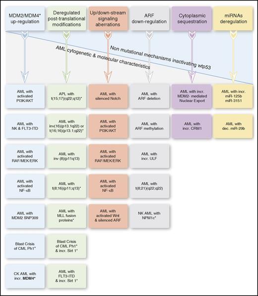 Figure 3. Nonmutational mechanisms inactivating wtp53 in AML. The asterisk in the “Deregulated posttranslational modifications” column denotes deacetylated p53. In certain AML entities, wtp53 inactivation results from ≥1 underlying mechanism. APL, acute promyelocytic leukemia; dec., decreased; incr., increased; NK, normal karyotype.