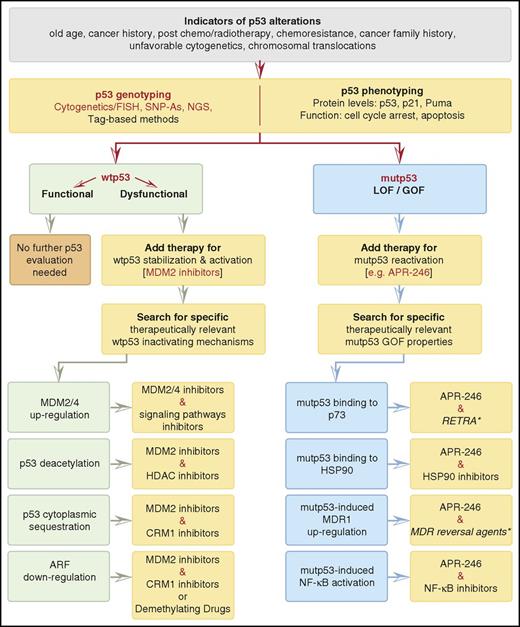 Figure 4. Patient-specific evaluation of p53 status: projection on future possible targeted therapy. Cytogenetics and fluorescence in situ hybridization (FISH) detect 17p− (associated with mutp53 and LOH). SNP-As (single-nucleotide polymorphism arrays), identify CNAs and LOH at a deeper level of detection than conventional cytogenetics and are also used to detect common polymorphisms, including those of TP53. The Sanger sequencing method continues to be a mainstay technology for rapid analysis and sequence determination of relatively small fragments of human DNA, embracing single or few genes at a time. Despite the relatively low of sensitivity of the method (VAF detection lower than ∼20%), it is still considered the gold standard for mutation analysis and is commonly used to confirm NGS results. NGS technology is the current gold standard for comprehensive DNA variant analysis. It enables rapid sequencing of large segments of an individual’s DNA and facilitates precise detection of genetic variations ranging from single-nucleotide substitution to large structural rearrangement, with a VAF detection sensitivity of 2% to 5%. It is based upon preparation of DNA fragment libraries, which are subsequently clonally amplified and sequenced by synthesis in multiple parallel reaction. The generated sequences are aligned and assembled on a human reference genome and computationally analyzed. The most commonly used target enrichment techniques include hybrid capture of target genes or multiplex-based PCR.17,125 NGS assays (selected either for whole-genome/exome/target sequencing based upon the AML gene panel) identify TP53 mutations and related genomic variations, including LOH and CNAs, and provide quantitative measurement of TP53 mutation abundance. Calculating TP53 mutation variant allele frequency allows one to distinguish an initiator mutation from a cooperating one. Additionally, appropriate bioinformatic methods allow SNP calling from NGS data, enabling distinction between a consequential variant and an inconsequential SNP.126 Distinction between somatic and germ line mutations necessitates availability of a matched control tissues sample (eg, patient’s skin cells), which is presumed to retain a germ line configuration. Tag-based methods detect ultrarare TP53 mutations.127 p53 protein expression and activity should be evaluated independently of p53 mutational status. p53 protein levels, assessed by western blotting and immunohistochemistry, should be interpreted cautiously, since p53 overexpression is not a surrogate for TP53 mutations (might be caused by numerous nonmutational stimuli), while lack of expression does not rule out their presence (eg, in cases of TP53 nonsense mutations/deletions).6,128 p53 activity can be evaluated by in vitro (AML blasts) assessment of p53 and its target genes before and after exposure to genotoxic stress induced by Ara-C or anthracyclines. The preferable target genes are p21 and PUMA, whose activation results normally in cell cycle arrest/senescence and apoptosis. These effects are usually assessed by measuring protein levels and by cell cycle/apoptosis and cell viability assays. The HL-60 cell line, characterized by major TP53 deletions, serves as the negative control for p53 functional evaluation.9 A discrepancy between wtp53 expression and an attenuated genotoxic stress response can be attributed to wtp53 inactivation. In case of mutp53, no stress response can be attributed to mutp53 LOF or the presence of mutant p53 GOF, which requires further assessment. The suggested therapies represent merely a conceptual model for future potential therapeutic strategies. In Red: current practice and agents that are already in AML clinical trials with reference to p53 status. *With the exception of RETRA and MDR reversal agents (italicized), all the agents mentioned are already in AML clinical trials, though not with reference to p53 status. Pretreatment ex vivo drug sensitivity testing of patient-derived AML cells may predict efficacy of the suggested therapeutic regimen. Pol I inhibitors, which augment p53 activity, are not listed herein, since their efficacy in AML with mutp53 or inactivated wtp53 is currently unknown.