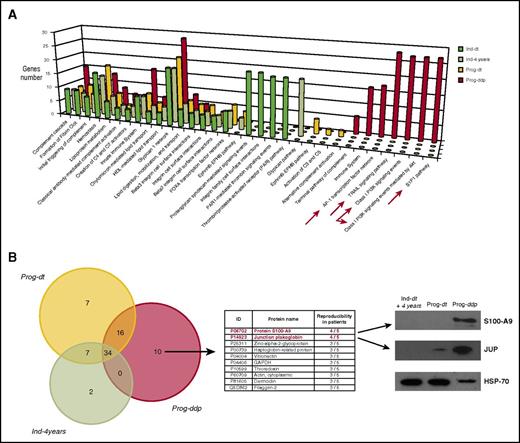 Figure 2. Proteomic analysis of plasma-derived exosomes during CLL evolution. (A) Molecular networks associated with proteins identified in plasma-derived exosomes during CLL evolution. The PPI networks were elucidated using the interaction model of FunRich software with the Vesiclepedia database, which focuses on statistically significant enriched genes and particular biological pathways in each subgroup. Different and specific networks according to the number of genes associated with the functions in the Prog-ddp subgroup are marked by red arrows: (1) Leukemic cell infiltration of secondary lymphoid organs, highlighted by genes related to the receptor sphingosine 1-phosphate (S1P1) pathway (P = 2.24e−4); (2) tumor proliferation network, involving genes of phosphatidylinositol 3-kinase (PI3K)/AKT kinase pathway (P = 2.24e−4); (3) survival and apoptosis network, involving genes implicated in the tumor necrosis factor–related apoptosis-inducing ligand (TRAIL) pathway; and (4) inflammation and oxidative stress networks, with genes involved in the AP-1 transcription factor pathway (P = 1.43e−4). (B) Liquid chromatography–tandem mass spectrometry (LC-MS/MS) analysis of CLL exosome proteins. LC-MS/MS data analysis was performed in accordance with the recently published PatternLab for proteomics 4.0 software (http://www.patternlabforproteomics.org) protocol for data analysis.16 The PatternLab approximately area-proportional Venn diagram module was used for pinpointing proteins exclusively identified in 1 biological condition. For the exosome protein-enriched sample, the analysis only considered proteins present in at least 3 of 5 patients for each biological condition. Junction plakoglobin (JUP) and S100-A9 (proteins in red font) were confirmed by specific monoclonal antibodies in immunoblot analysis. Plasma-derived exosomes were obtained from 10 patients (20 samples) corresponding to the 4 different subgroups (5 patients each) and subjected to 12% polyacrylamide gel (SDS-PAGE) electrophoresis. Representative immunoblots of both proteins at the different disease times are depicted. GAPDH, glyceraldehyde-3-phosphate dehydrogenase; HDL, high-density lipoprotein.