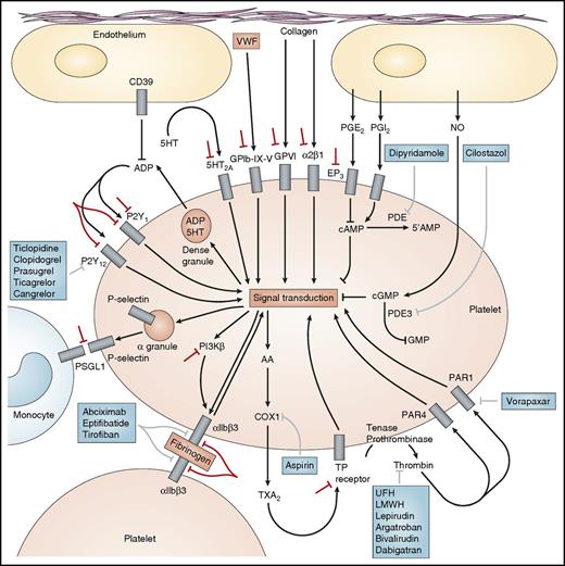 Figure 1. Molecular targets of antiplatelet agents. US Food and Drug Administration–approved antiplatelet agents are shown in blue boxes. Novel antiplatelet agents in development are shown by red bars. 5-HT, 5-hydroxytryptamine (serotonin); LMWH, low-molecular-weight heparin; NO, nitric oxide; PG, prostaglandin; PI3Kβ, β isoform of phosphoinositide 3-kinase; PSGL-1, P-selectin glycoprotein ligand 1; UFH, unfractionated heparin. Modified with permission from Michelson AD. Nat Rev Drug Discovery. 2010;9:154-169.