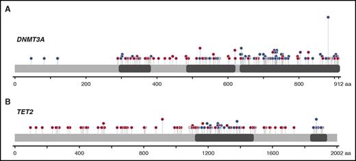Figure 3. Schematic diagram of DNMT3A and TET2 mutations. (A) Distribution of the 230 somatic mutations observed in DNMT3A. (B) Distribution of the 134 somatic mutations observed in TET2. Blue dots, missense mutations; red dots, truncating mutations (frame shift, nonsense and splice site); gray dots, in-frame deletions or insertions; purple, residues that are affected by different mutation types at the same proportion. The height of the line is proportional to the number of observations (from 1 to 21).