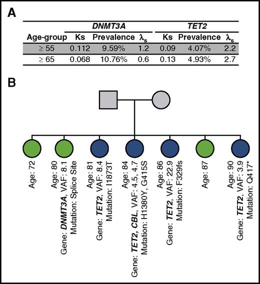 Figure 6. Heritability of mutation. (A) Sibling recurrence risk estimation for DNMT3A and TET2 using unrelated ages-matched as controls. (B) Example of a familial cluster of acquired mutations in TET2. The pedigree shows a sib-ship of 7, with 4 harboring different TET2 somatic mutations and 1 a DNMT3A. *, nonsense mutation; fs, frameshift mutation; Ks, sibling recurrence risk; λs, recurrence-risk ratio of disease in siblings.