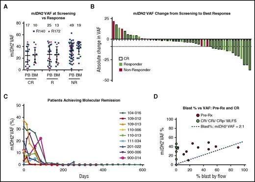 Figure 2. Clinical responses to mIDH2 inhibition do not correlate with mIDH2 allele burden. (A) Dot plot of mIDH2 VAF (R140 mIDH2 in blue and R172 mIDH2 in red) in patient samples measured at screening in either peripheral blood or bone marrow by FoundationOne Heme panel. Measurements are separated by the best response achieved by patients, as defined in Figure 1. Numbers indicate the number of patient samples in the graph. (B) Waterfall plot indicating absolute change in mIDH2 VAF from screening to achievement of best response measured by Sysmex OncoBeam digital PCR. Responders are plotted in green and nonresponders in red. Patients achieving CR are outlined in black. The dotted line indicates the largest VAF decrease observed in a nonresponder. (C) Line graph of mIDH2 VAF over time (days of treatment) in 9 patients achieving molecular remission (undetectable mIDH2) for at least 1 time point during treatment. (D) Scatter plot of bone marrow mIDH2 VAF versus blast percentage measured by flow cytometry in 9 responsive patients in samples taken pretreatment (red) and at response (CR, CRi, CRp, or MLFS; green). Blue line indicates expected ratio (2:1) between blast percentage:mIDH2 VAF in clonal mIDH2 disease. Three data points (in green) are superimposed with values close to or at zero. BM, bone marrow; PB, peripheral blood; pre-Rx, pretreatment.
