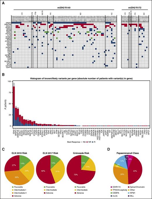Figure 4. Association of co-occurring mutations with clinical response and classification of patients from cytogenetic and molecular abnormalities. (A) Tile plot showing the number of co-occurring somatic mutations by gene identified in FoundationOne Heme panel from efficacy-evaluable patients separated by R140 and R172 mIDH2. Only mutated genes occurring in 2 or more patients are shown. Mutations associated with higher risk are in red and mutations associated with lower risk are in green, as defined by Grimwade et al.26 (B) Histogram of the number of mutations identified in each gene from all 100 patient samples analyzed. The number of mutations identified in responding patients are in blue, the number of mutations identified in nonresponding patients are in red, and the number of mutations in patients who were not efficacy evaluable are in gray. (C) Pie charts of proportions of patients in various risk categories according to European LeukemiaNet (ELN) 2010 AML risk stratification,29 ELN 2017 AML risk stratification,28 and Grimwade et al,26 on the basis of cytogenetic testing completed before the start of cycle 2 and mutations identified at screening. (D) Pie chart of proportions of patients in various genomic classifications according to Papaemmanuil et al,13 on the basis of cytogenetic testing completed before the start of cycle 2 and mutations identified at screening. CEBPA, CCAAT/enhancer-binding protein alpha; MLL, mixed-lineage leukemia.