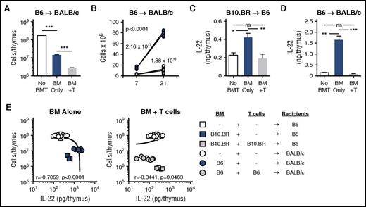 Figure 1. Thymic IL-22 levels are reduced in mice with GVHD. (A-B) BALB/c (H-2d) recipients were transplanted with 5 × 106 TCD bone marrow (BM) cells from B6 mice (H-2b) with or without 1 × 106 BALB/c T cells to induce GVHD. (A) Total thymic cellularity on day 7 after transplant. (B) Thymic cellularity on day 7 and day 21 after transplant, analyzed by linear regression with slope comparison (1/slope for each line displayed on the graph). (C) B6 (H-2b) recipients were transplanted with 5 × 106 TCD BM cells from B10.BR mice (H-2k) with or without 2 × 106 B10.BR T cells to induce GVHD. Absolute levels of IL-22 were measured on day 7 post-BMT in B6 recipients or normal non-BMT controls (n = 10 per group). (D) BALB/c (H-2d) recipients were transplanted with 5 × 106 TCD BM cells from B6 mice (H-2b) with or without 1 × 106 BALB/c T cells to induce GVHD. Absolute levels of IL-22 were measured on day 7 post-BMT in BALB/c recipients or normal non-BMT controls (n = 9-10 per group). (E) Correlation of thymic cellularity and IL-22 levels in BMT recipients or normal controls from panels C and D. Left panel shows values from allo-BMT without T cells (blue circles and squares), indicating that after TCD BMT, the thymic cellularity and intrathymic IL-22 levels have a strong negative correlation. Right panel shows values from mice transplanted with allogeneic T cells (gray circles and squares), indicating that GVHD causes a loss of the correlation between thymic cellularity and the compensatory IL-22 response. Untransplanted normal controls are the same in both panels (white circles and squares). Bar graphs represent mean ± standard error of the mean (SEM) of at least 2 independent experiments. *P < .05; **P < .01; ***P < .001.