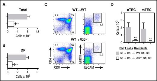 Figure 3. IL-22 deficiency exacerbates thymic GVHD. WT or Il22−/− BALB/c recipients (H-2d) were transplanted with 5 × 106 B6 TCD BM (H-2b) cells and 1 × 106 WT B6 T cells. (A) Total thymic cellularity (n = 10-14 per group) and (B) number of CD4+CD8+ donor BM-derived DP cells (n = 5 per group) 21 days post-BMT. (C) Proportion of thymocyte subsets shown on the left, and MHCII+EpCAM+ TECs gated on viable CD45– cells shown on the right. (D) Total number of cTECs and mTECs (n = 5-9 per group). Bar graphs represent mean ± SEM of at least 2 independent experiments. **P < .01.
