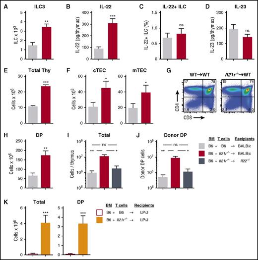 Figure 4. Abrogation of IL-21 signaling in donor T cells maintains intrathymic ILC3s and ameliorates thymic GVHD in an IL-22–dependent fashion. (A-D) WT BALB/c recipients (H-2d) transplanted with 5 × 106 CD45.1 B6 TCD BM (H-2b) cells and 1 × 106 CD45.2 B6 T cells from either WT or Il21r−/− B6 donors to induce GVHD. Thymus harvested on day 7 post-BMT. (A) Absolute number of intrathymic CD45+CD3–CD8–CD4+IL7R+RORγt+ ILC3s (n = 10 per group). (B) Absolute amount of thymic IL-22 measured by enzyme-linked immunosorbent assay (ELISA) (n = 9 per group). (C) ILC3s were isolated from thymus and incubated for 4 hours in the presence of brefeldin A and then examined for intracellular expression of IL-22 (n = 10 per group). (D) Absolute amount of thymic IL-23 measured by ELISA (n = 9 per group). (E-H) WT BALB/c recipients were transplanted with CD45.1 B6 TCD BM cells and WT or Il21r−/− CD45.2 B6 donor T cells as above; thymus was harvested 21 days post-BMT. (E) Total thymus cellularity (n = 40-44 per group). (F) Absolute number of CD45–EpCAM+MHCII+Ly51hiUEA-1lo cTECs and CD45–EpCAM+MHCII+Ly51loUEA-1hi mTECs (n = 12-14 per group). (G) Proportion of thymocyte subsets by flow cytometry gated on CD45+ cells. (H) Absolute number of BM-derived (H-2b+CD45.1+) CD4+CD8+ DP thymocytes (n = 9 per group). (I-J) B6→BALB/c BMT with WT B6 marrow, WT or Il21r−/− B6 donor T cells, and WT or Il22−/− BALB/c recipients (n = 10 per group). (I) Total thymus cellularity and (J) absolute number of CD4+CD8+ DP thymocytes at 21 days post-BMT. (K) Total thymic cellularity and absolute number of CD4+CD8+ DP thymocytes 21 days after B6→LP BMT (H-2b→H-2b) with WT B6 TCD BM and either WT or Il21r−/− B6 T cells (n = 17 per group). Bar graphs represent mean ± SEM of at least 2 independent experiments. *P < .05; **P < .01; ***P < .001.