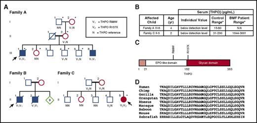 Figure 1. Family pedigrees. (A) The arrow indicates the proband. Family A and Family B: Asterisks indicate individuals evaluated with targeted gene capture panel/high-throughput sequencing. The variant allele (295C>T; R99W) is indicated with V1, and reference alleles are indicated with an N. Family C: Asterisk indicates individual evaluated with whole-exome sequencing. The variant allele (469C>T; R157X) is indicated with V2, and reference alleles are indicated with an N. (B) Serum THPO levels in affected individuals. Serum THPO concentrations (picograms per milliliter) are given for the affected child along with the testing laboratory’s control ranges. (C) THPO protein domains. The signal peptide (amino acid residues 1-21) is shaded in light red. The positions of the THPO mutations are indicated on the structure. (D) THPO amino acid conservation across vertebrate species. Bold font indicates the arginine residue at position 99 of the human THPO sequence. Twenty–amino acid residues flanking position 99 are shown (NCBI RefSeq). EPO, erythropoietin; N/A, not applicable.