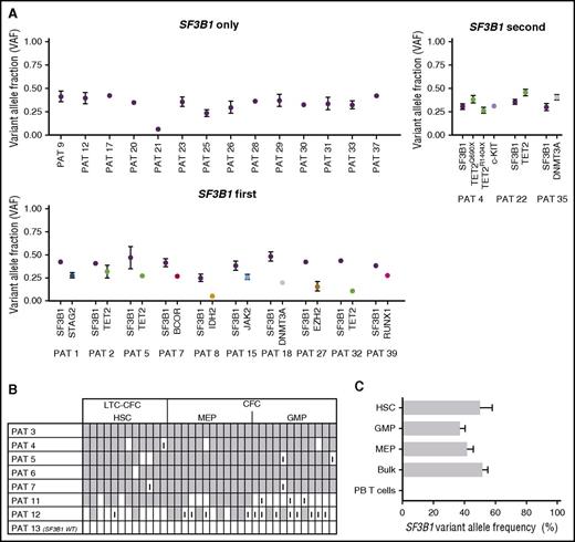 Figure 2. Evidence that SF3B1 mutations are initiating mutations targeting rare HSCs in MDS-RS. (A) Computational prediction of fraction of cells with identified genomic lesions within total BM MNCs from SF3B1-mutated MDS-RS patients based on VAF. Error bars indicate 95% confidence intervals. Shown are cases where SF3B1 is the only identified recurrent mutation, SF3B1 is predicted to be the first of multiple recurrent mutations, or SF3B1 is predicted to be secondary to other mutations. Inconclusive results (overlapping 95% confidence intervals) are included in supplemental Figure 2. (B) Tracking of SF3B1 mutations in individually picked HSC-derived LTC-CFCs or MEP- and GMP-derived CFCs. 7 SF3B1 mutated and 1 SF3B1 wild-type (WT) patients were analyzed using pyrosequencing to screen for identified SF3B1 mutations in each case and scored as positive (gray), negative (white), or inconclusive (I) (see supplemental Methods for definitions and cutoffs). (C) Sequenom analysis from 4 MDS-RS samples of FACS-purified stem and progenitor cell populations to assess SF3B1 VAF. PAT, patient.